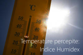 Temperature percepite: Indice Humidex
