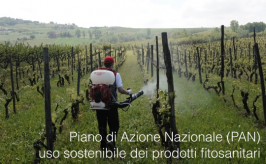 Piano Azione Nazionale (PAN) uso sostenibile prodotti fitosanitari | Bozza 2019