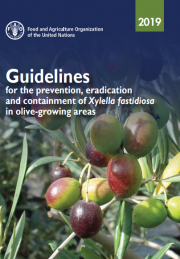 Guidelines for the prevention, eradication and containment of Xylella fastidiosa