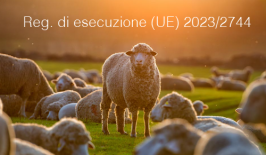 Regolamento di esecuzione (UE) 2023/2744 