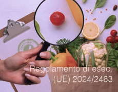 Regolamento di esecuzione (UE) 2024/2463