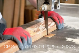Cassazione Penale Sent. Sez. 4 Num. 20373 | 03 Giugno 2025 Cassazione Penale Sent. Sez. 4 Num. 20373 | 03 Giugno 2025