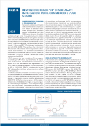 Restrizione Reach “74” diisocianati: implicazioni per il commercio e l’uso sicuro