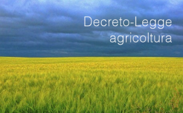 Decreto-Legge agricoltura