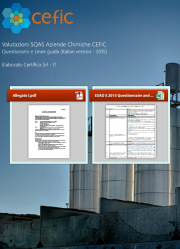 Valutazioni SQAS Aziende Chemical Distribution - CEFIC
