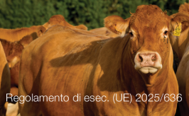 Regolamento di esecuzione (UE) 2025/636 Regolamento di esecuzione (UE) 2025/636