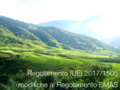 Regolamento (UE) 2017/1505