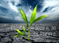 Decreto-Legge 30 aprile 2022 n. 36 