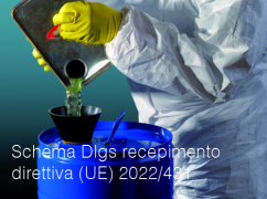 Schema Dlgs recepimento direttiva (UE) 2022/431
