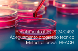 Regolamento (UE) 2024/2492 