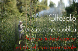 Consultazione pubblica ECHA sulla classificazione GLIFOSATO