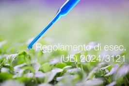 Regolamento di esecuzione (UE) 2024/3121