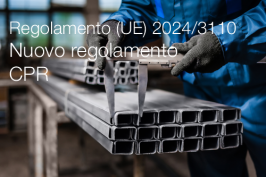 Regolamento (UE) 2024/3110