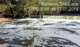 Sentenza TAR Lazio n. 7586/2014 del 17.07.2014