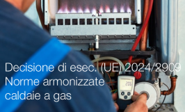 Decisione di esecuzione (UE) 2024/2909 