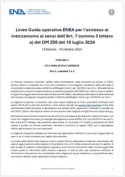 Linee guida operative ENEA accesso meccanismo adempimenti obblighi impresa energivora