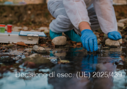 Decisione di esecuzione (UE) 2025/439 