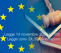 Legge 14 novembre 2024 n. 166 