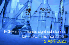 11th a recommendation Annex XIV REACH April 2023