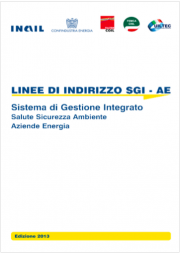 Linee di Indirizzo del Sistema SGI-AE: Modelli Applicativi - Industria, energia e petrolio