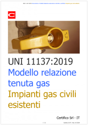 UNI 11137:2019 / Documento e modello relazione controlli e verifiche tenuta gas impianti esistenti