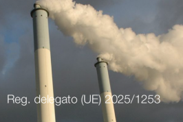 Regolamento delegato (UE) 2025/1253 