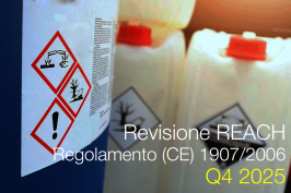 Revisione Regolamento REACH (CE) 1907/2006