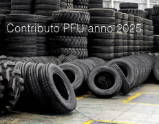 Prospetto informatico comunicazione Contributo PFU anno 2025