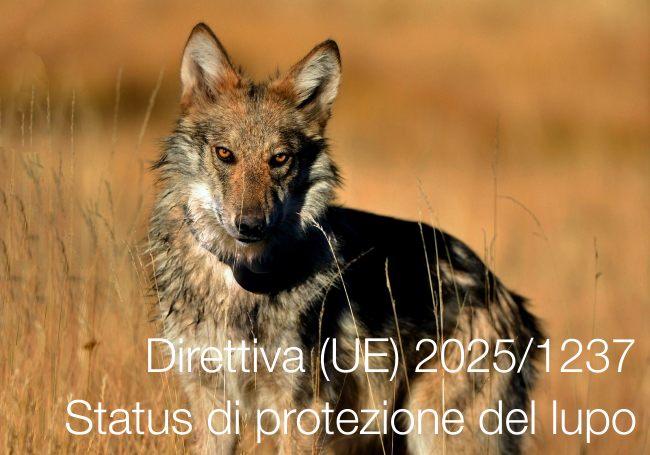 Direttiva (UE) 2025/1237