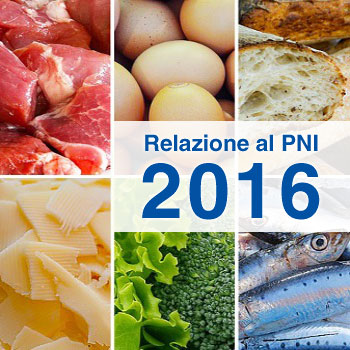 Relazione Annuale al PNI 2016