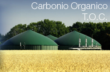 Carbonio Organico (T.O.C)