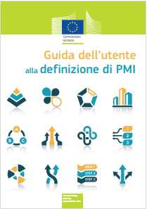 Guida definizione PMI