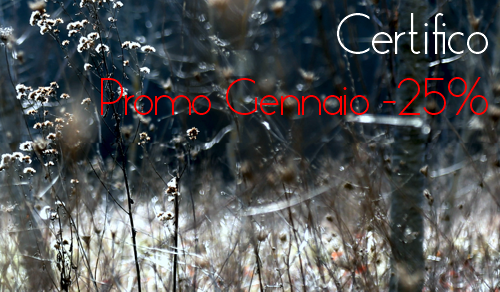 Store Certifico: Promo -25% fino al 31 Gennaio
