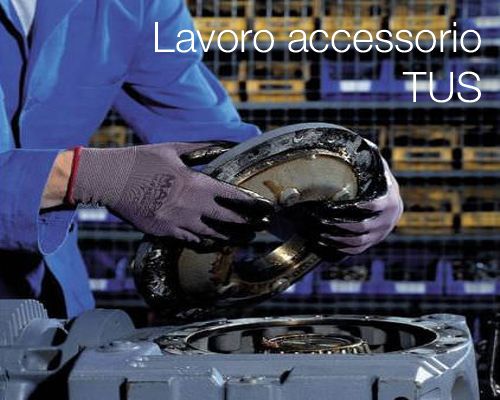 Lavoro accessorio e TUS