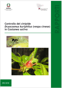 Controllo cinipide Dryocosmus kuriphilus (vespa cinese) Castanea sativa