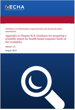 Appendix to Chapter R 8 Appendix to Chapter R 8