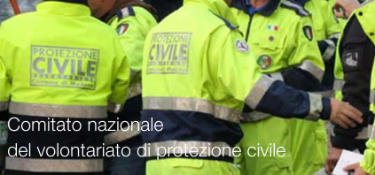 D.P.R. 11 luglio 2019