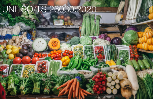 UNI ISO/TS 26030:2020
