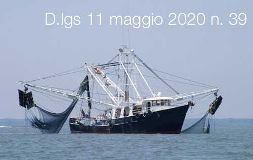 Decreto Legislativo 11 maggio 2020 n. 39
