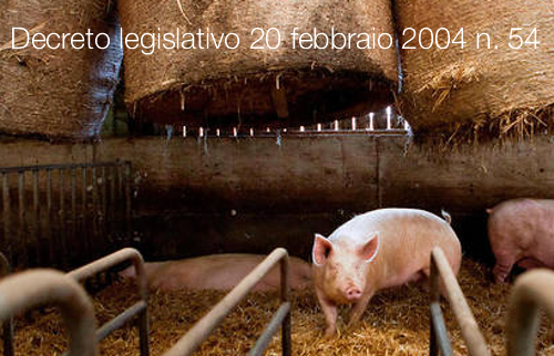 Decreto legislativo 20 febbraio 2004 n. 54