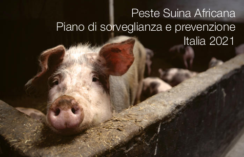Peste Suina Africana - Piano di sorveglianza e prevenzione Italia 2021 