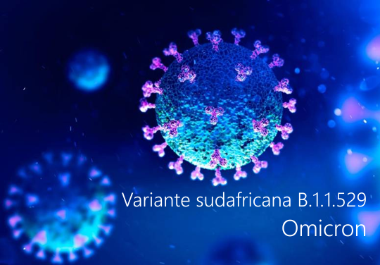 Ordinanza Min Salute 26 Novembre 2021