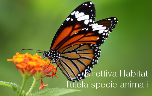 Direttiva Habitat tutela specie animali Direttiva Habitat tutela specie animali