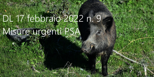 Decreto-Legge 17 febbraio 2022 n. 9
