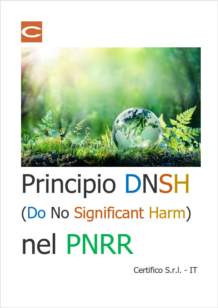 Principio DNSH Principio DNSH