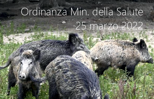 Ordinanza Ministero della Salute 25 marzo 2022 