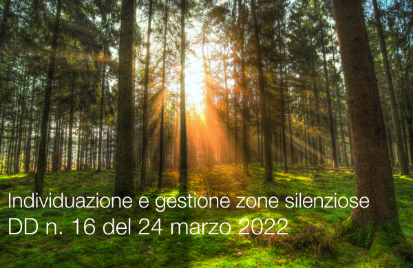 DD MITE n. 16 del 24 marzo 2022