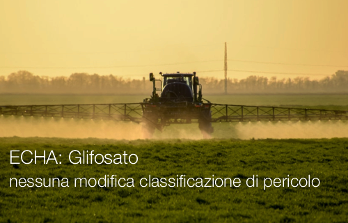 ECHA: Glifosato nessuna modifica alla classificazione di pericolo