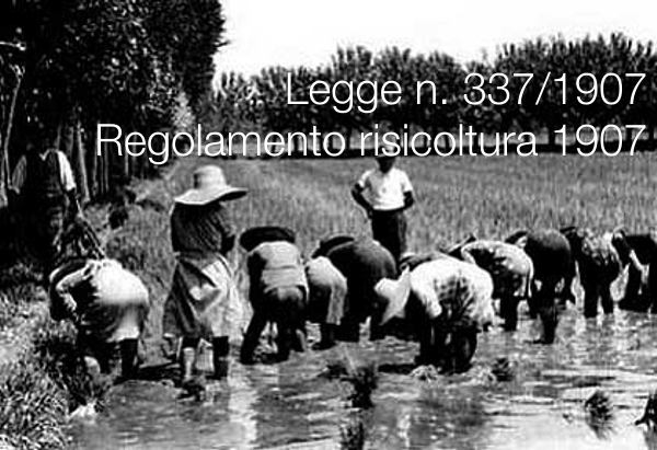 Legge 16 giugno 1907 n. 337