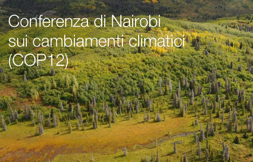 Conferenza di Nairobi sui cambiamenti climatici (COP12)